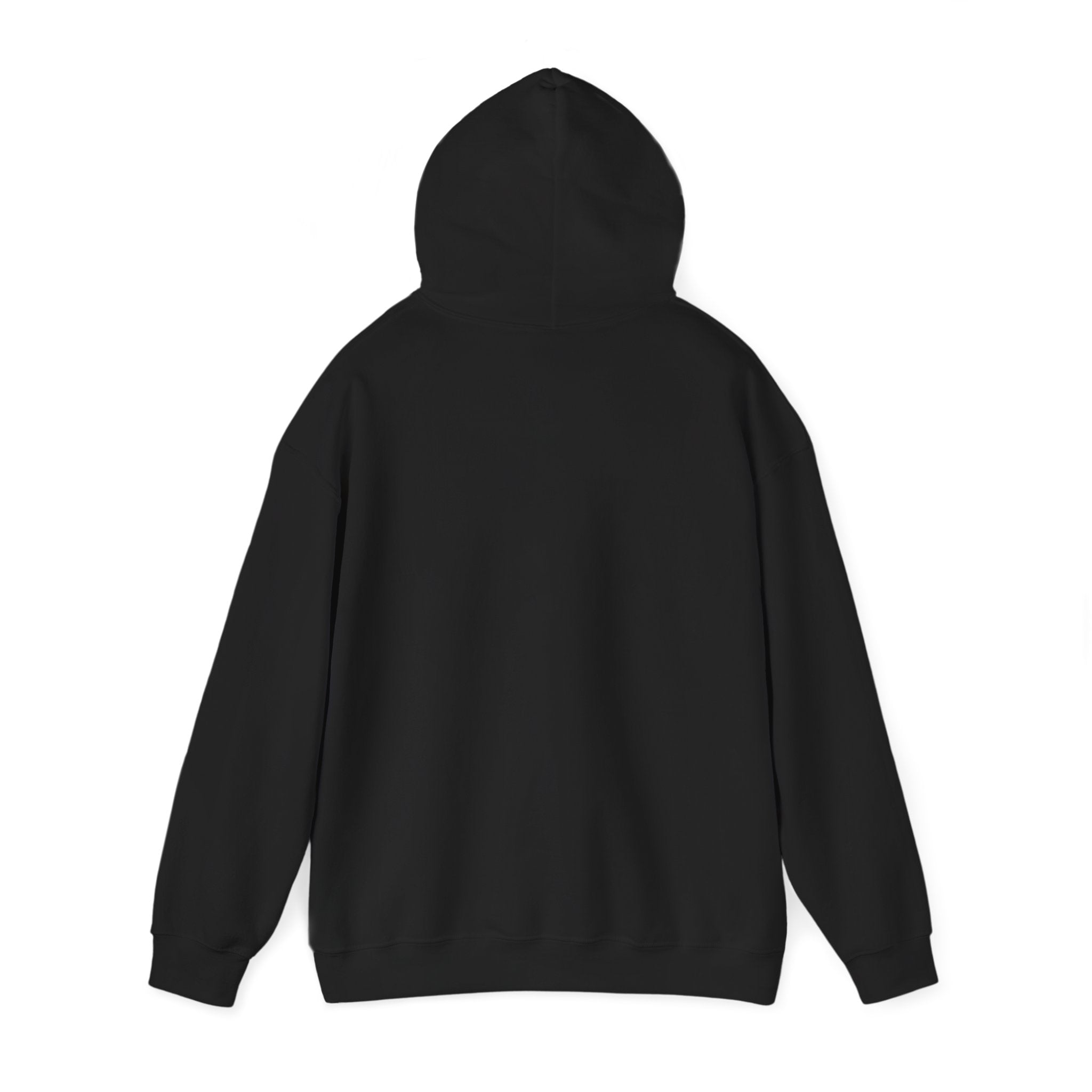 $20 is $20 hoodie